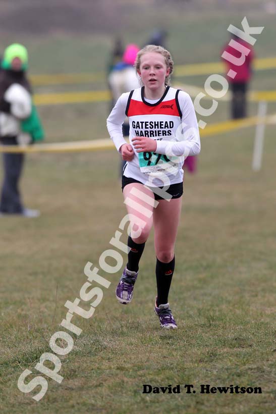 No 920, Under-13s girls, North East Harrier League, Wrekerton, Gateshead.